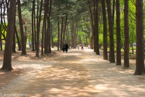 Nami Island
